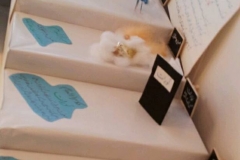 1422627_10200591909192718_1143142517_n