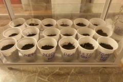 1460988_673057462750343_282579581_n