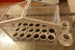 1655927_673057436083679_364930593_n